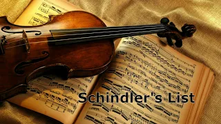 Theme From Schindler's List | Скрипка соло