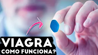 COMO O VIAGRA FUNCIONA? OS EFEITOS NO CORPO!