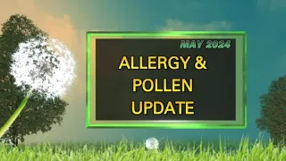Pollen and allergy update for Bay Area
