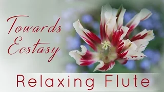 Relaxing Flute Instrumental | Towards Ecstasy | Kanchman Babbar