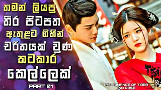 The Romance of Tiger and Rose Explained in Sinhala| තමන්ගේ  පිටපත ඇතුළට ගිහින් චරිතයක් වුණ කෙල්ලෙක්1