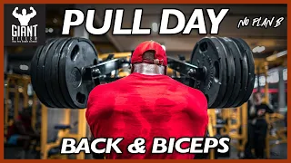 BACK & BICEPS | PULL DAY