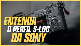 Como usar o S-LOG da Sony com o LUT CORRETO! - Adobe Premiere