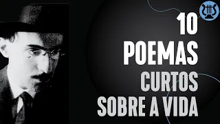 10 poemas curtos sobre a vida para refletir! | como fazer um poema