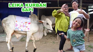 BUNDA NGIDAM SAPI KURBAN 😱😱 LEIKA BELI SAPI KURBAN