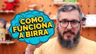 BIRRA explicada pela NEUROCIÊNCIA - Paizinho, Vírgula!