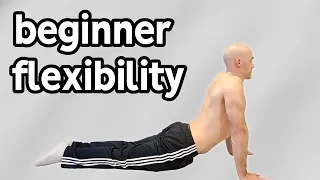 Beginner Stretches For Flexibility (Full Routine)