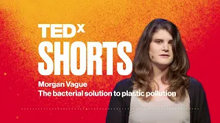 The bacterial solution to plastic pollution