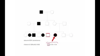 "Genetic Risk Assessment" by Bruce Korf for OPENPediatrics