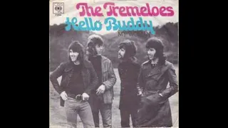 HELLO BUDDY TREMELOES (2022 MIX)