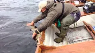 PIKE FISHING IRELAND  (lough derg)