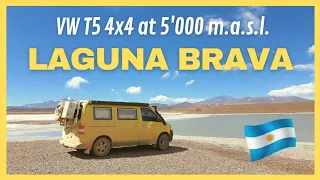 VW T5 Offroad🛺 - Laguna Brava: with our 4x4 Offroad Bulli at 5'000 m in Argentina