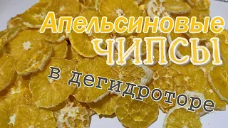 Апельсиновые чипсы в дегидраторе. Идеи, опыт и ошибки.