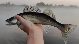 Kohapüük Emajõel 16.06.2023