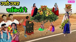 उसो उमर पाकियो रे || uso umar pakiyo re || Govind bhabhor new timli dahud damor dance video