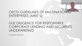 OECD GUIDELINES OF MULTINATIONAL ENTERPRISES - Due diligence for responsible corporate lending - I