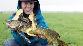 Catching pike on a snake!
