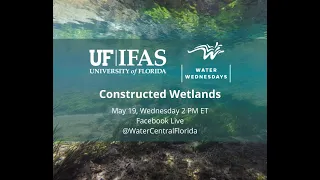 Water Wednesday - Constructed Wetlands