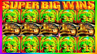 **SUPER BIG WINS!** King of Africa & Pirate Ship 🦁☠️ WMS Slot Machine Bonuses