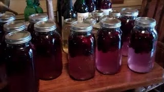 🍷 How To Make Easy Homemade Wine 🤩 Making Blackberry Wine👓