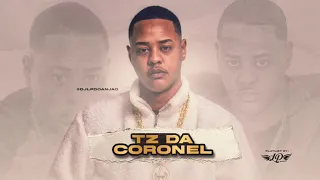 PLAYLIST TZ DA CORONEL - TODAS AS FAIXAS ( UMA HORA DE MÚSICA) @djlpdoanjao