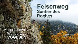 Sentier des Roches - one of the most demanding hikes in the Vosges (4K)