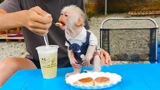 Monkey Max Luxurious Go Drink Coffee With Dad