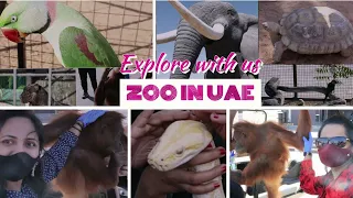 The Zoo Wildlife Park Umm Al Quwain/Zoo in UAE/Must Visit Place In UAE