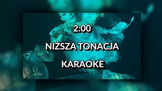 Sanah - 2:00 [NIŻSZA TONACJA karaoke/instrumental] - Polinstrumentalista