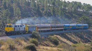 Pequeño reportaje del Tren de los 80 (2021)