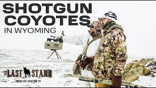 Shotgunning Coyotes In Wyoming | The Last Stand S5:E7