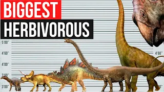 Biggest Herbivorous Dinosaurs | Size Comparison