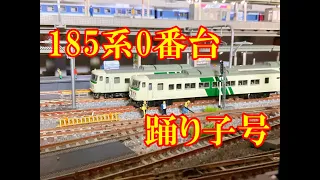 185系０番台　踊り子号　②鴨居の上のレイアウトⅡ　鉄道模型　Nscale rail model