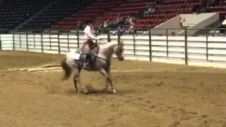 Good Alibis Ranch Riding