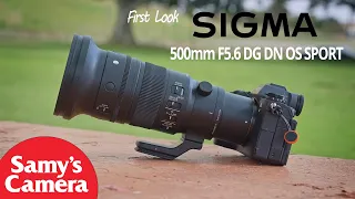 First Look At The SIGMA 500mm f5.6 DG DN OS Sport Lens