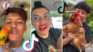FUNNY WILLYTUBE TIK TOK VIDEOS (W/Titles) Try Not To Laugh Watching WillyTube