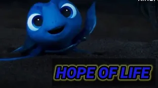 HOPE for life | A cute baby turtle story Animated cartoon film