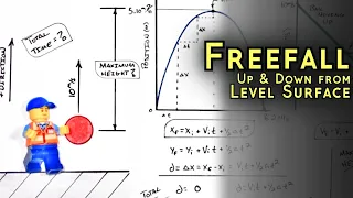 Find Maximum Height & Time of Ball Tossed Upward | Graphing Freefall