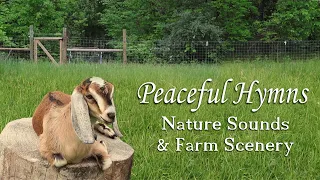 Peaceful Worship Music with Nature Sounds and Farm Scenery