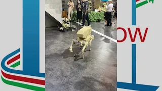 Discover Chinese dog robot armed with automatic cannon at AirShow China 2022 Zhuhai