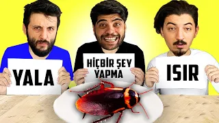 BÜYÜK ISIR, YALA veya HİÇBİR ŞEY YAPMA CHALLENGE! *iğrenç