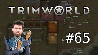 (T)RimWorld #65 mit Matteo