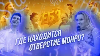 ЕБЭ: ГДЕ НАХОДИТСЯ ОТВЕРСТИЕ МОНРО?