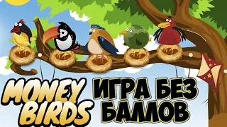 Money-Birds экономическая игра с выводом денег без баллов обзор и отзывы