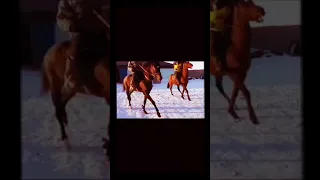 Грозный 🐎 Двадцатка 🐎