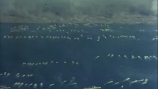 WW2 - Battle of Iwo Jima [Real Footage in Color]