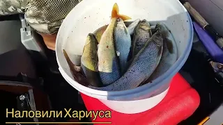 Поездка на Чивыркуй