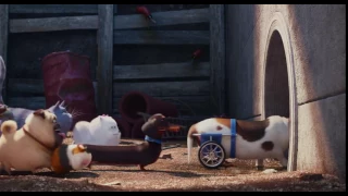 The Secret Life of Pets - What Is That Smell?