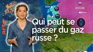 Ukraine - Qui peut se passer du gaz russe ? - Le Dessous des cartes - L’Essentiel | ARTE