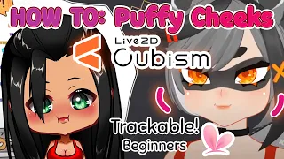 【HOW TO: Live2d】Puffy cheeks! Easy and trackable   - YoshinoArt